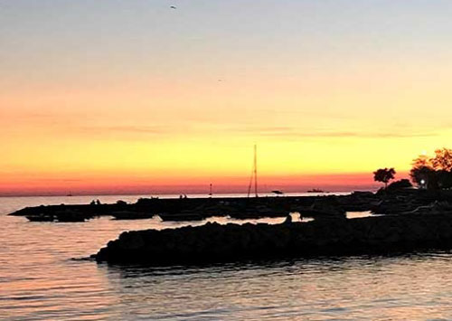 Fotograf Tarama 